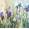 Irises in the silence