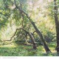 June. Year in Kolomenskoe