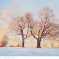 In anticipation of the evening. Year in Kolomenskoe