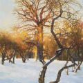 January. Year in Kolomenskoe