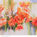 Poppies