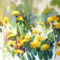 Spring fireworks