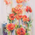 Red poppies