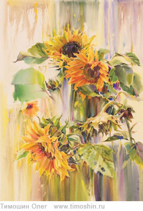 Dance of sunflowers